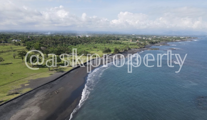 Dijual Tanah Pinggir Pantai View Sunrise, Nusa Penida & Nusa Lembongan Pantai Saba Gianyar Bali Dijual Tanah Pinggir Pantai View Sunrise, Nusa Penida & Nusa Lembongan Pantai Saba Gianyar Bali
