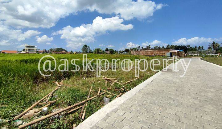 LAND FOR SALE VILLA ENVIRONMENT WALK TO CEMAGI BEACH BALI 2