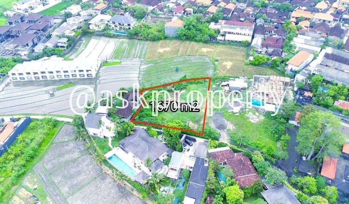 JUAL TANAH LINGKUNGAN VILLA VIEW SAWAH BERAWA BALI 1