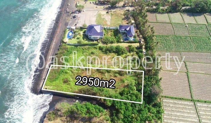 LAND FOR SALE IN PURNAMA BEACH FRONT VILLA ENVIRONMENT, GIANYAR BALI 2