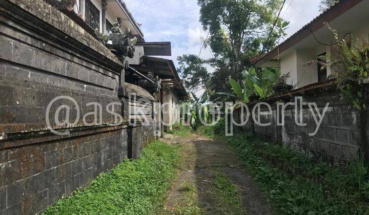 Tanah Untuk Bangun Hotel Bintang 5 Payangan Ubud Bali 2