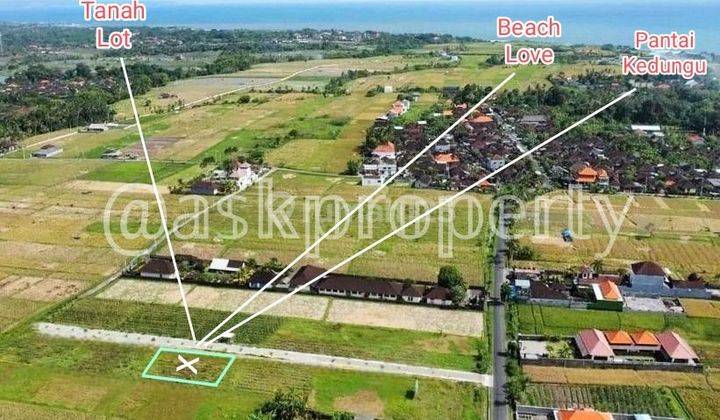 LAND FOR SALE SUITABLE FOR A VILLA NEAR KEDUNGU BEACH TABANAN BALI 1