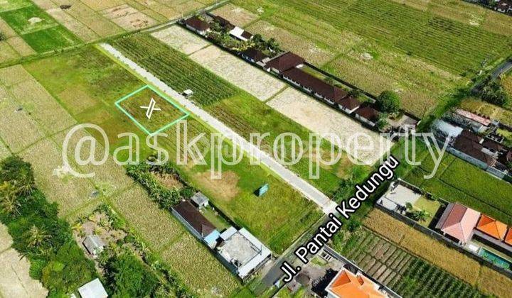 LAND FOR SALE SUITABLE FOR A VILLA NEAR KEDUNGU BEACH TABANAN BALI 2