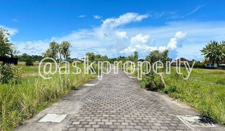 Dijual Tanah Cocok Untuk Villa Dekat Pantai Kedungu Tabanan Bali 2