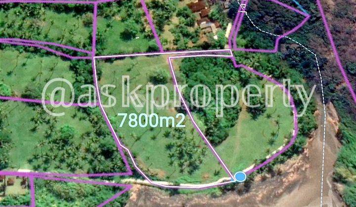 LAND FOR SALE ON THE BALIAN EDGE OF TABANAN BALI 2