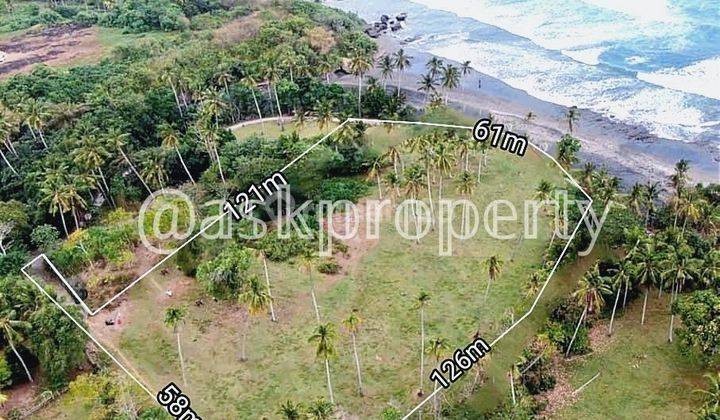 LAND FOR SALE ON THE BALIAN EDGE OF TABANAN BALI 1