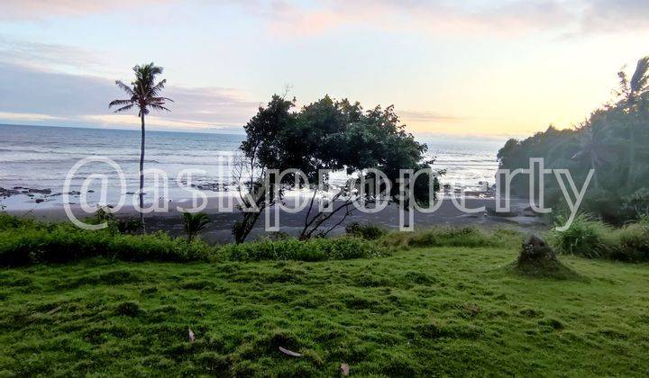 Dijual Tanah Pinggir Balian Tabanan Bali 2