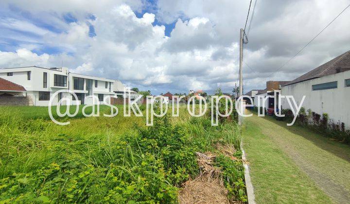 LAND FOR SALE IN BUMBAK KEROBOKAN BALI PRIVATE/COMMERCIAL VILLA ENVIRONMENTAL LAND FOR SALE 2