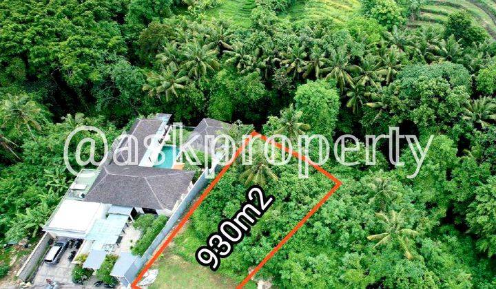 Dijual Tanah Dalam Perumahan Pinggir Sungai Besar Pererenan Bali  1