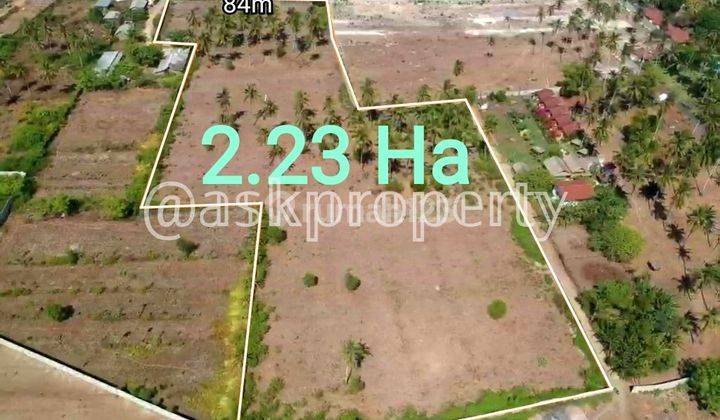 Dijual Tanah Pinggir Pantai Kuta Lombok - Dekat Sirkuit Mandalika 2