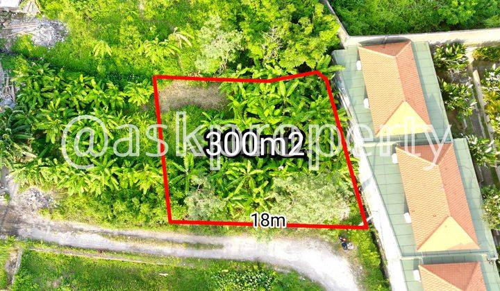 SMALL LAND FOR SALE IN PETITENGET VILLA ENVIRONMENT SEMINYAK BALI 1