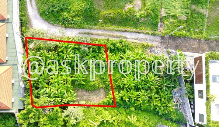 SMALL LAND FOR SALE IN PETITENGET VILLA ENVIRONMENT SEMINYAK BALI 2