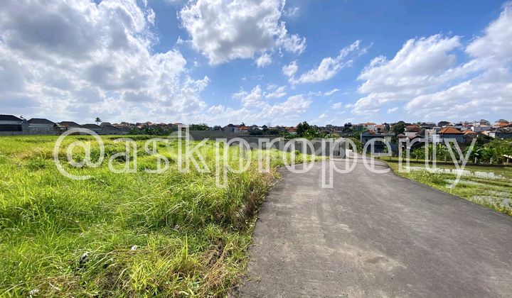 Dijual Tanah View Sawah Zona Perumahan Tiying Tutul Pererenan Bali Dijual Tanah View Sawah Zona Perumahan Tiying Tutul Pererenan Bali