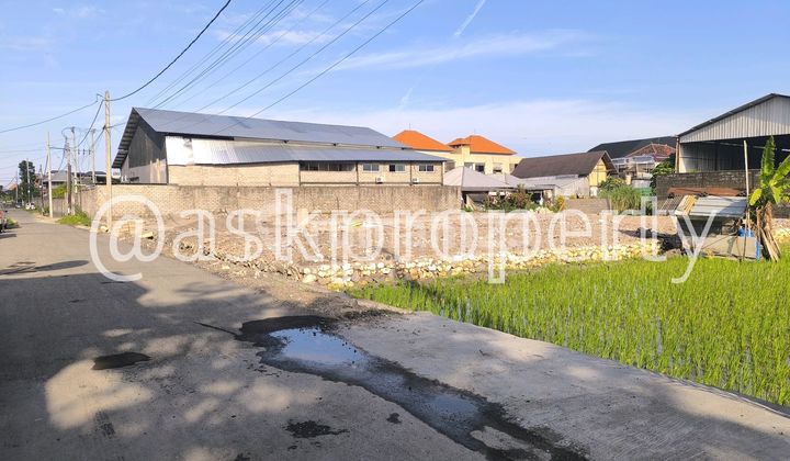 Dijual Tanah Kavling Cocok untuk Rumah Pribadi atau Guest House Jl Pura Demak Denpasar Barat Bali