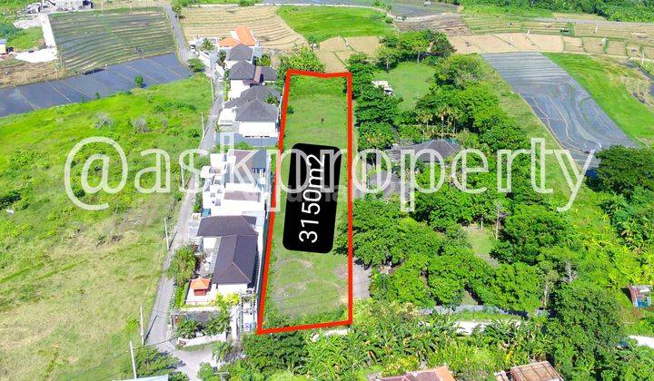 DIJUAL TANAH COCOK UNTUK VILLA/KAVLING CANGGU BALI 2