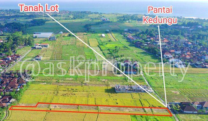 DIJUAL TANAH MURAH VIEW SAWAH DEKAT BRACH LOVE/PANTAI KEDUNGU TABANAN BALI 1