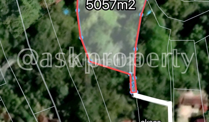 Dijual Tanah Pinggir Sungai Besar Kontur Tanah Ubud Vibe Buwit Tabanan Bali