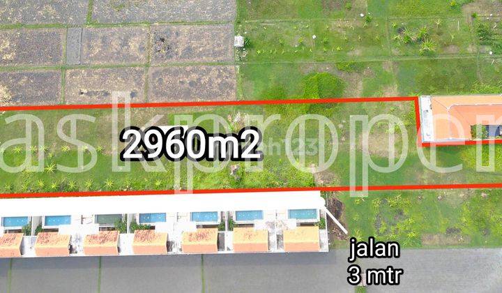 Dijual Tanah Cocok Bangun Komplek Villa Pribadi/komerasial Batu Belig Petitenget Bali 1