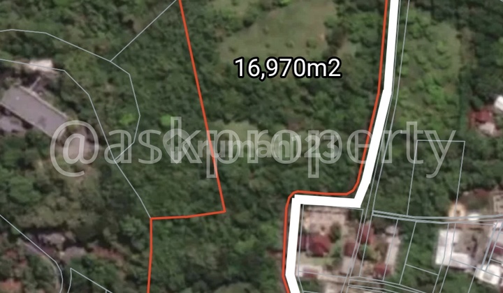 For Sale: Affordable Land Suitable for Housing Cluster in a Bustling Area, 70 meters to Jl. Raya Uluwatu, Pecatu, Bali For Sale: Affordable Land Suitable for Housing Cluster in a Bustling Area, 70 meters to Jl. Raya Uluwatu, Pecatu, Bali