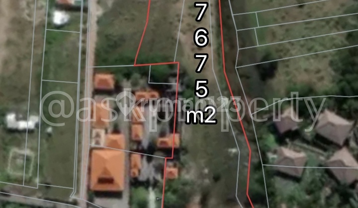 Dijual Cepat Murah Tanah Cocok Bangun Hotel / Commercial Lainnya Zona Pariwisata Pantai Canggu Bali