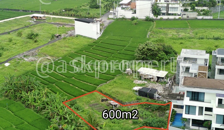 For Sale Rice Field View Land Villa Environment Near Cemagi Beach Bali