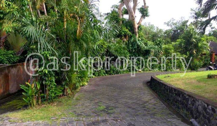 DIJUAL TANAH LINGKUNGAN VILLA SANGAT TENANG DEKAT PANTAI PERERENAN BALI 1