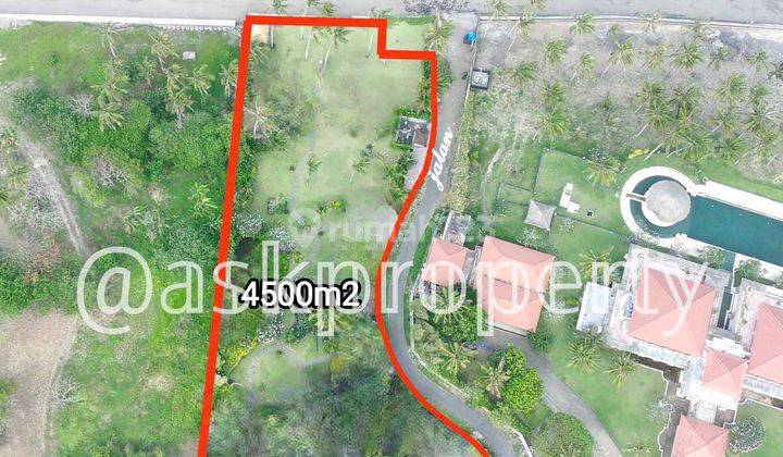 Dijual Tanah Pinggir Pantai Sunset View Pantai Cemagi Bali 1