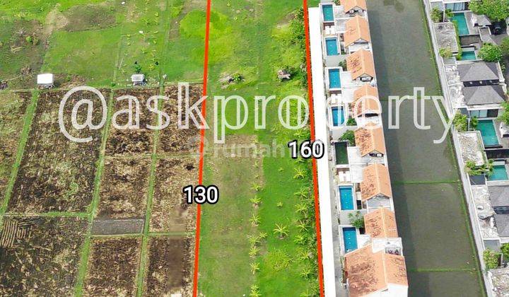 Dijual Tanah Cocok Bangun Komplek Villa Pribadi/komerasial Batu Belig Petitenget Bali 2