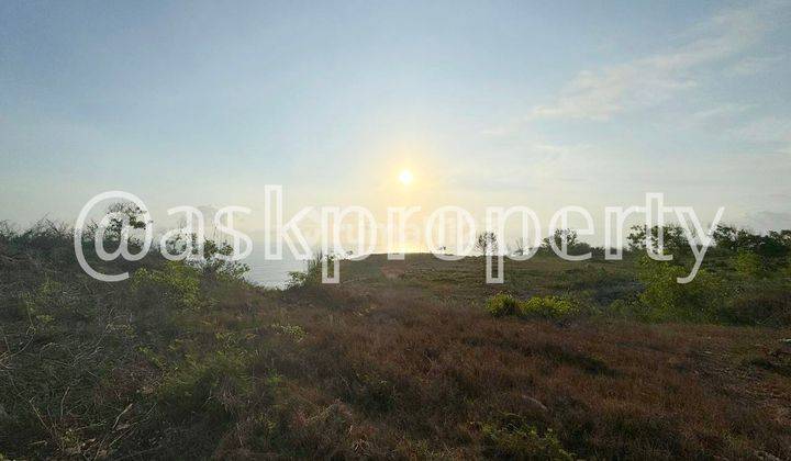 FOR SALE A SMALL AREA OF LAND ON THE EDGE OF ULUWATU BALI BALI 2