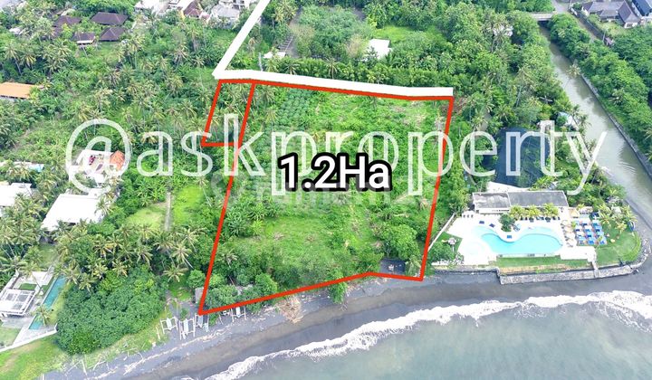 Dijual Tanah Pinggir Cocok Bangun Hotel / Villa Komplek Pantai Saba Gianyar Bali Dijual Tanah Pinggir Cocok Bangun Hotel / Villa Komplek Pantai Saba Gianyar Bali