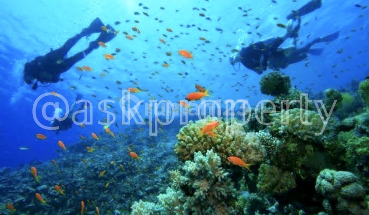 Land For Sale On The Beachfront East Side Of Gili Meno Lombok One Of The Beast Snorkeling Spot - Freehold Land For Sale On The Beachfront East Side Of Gili Meno Lombok One Of The Beast Snorkeling Spot - Freehold