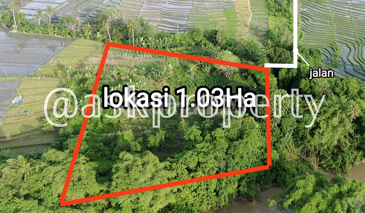 Dijual Tanah Pinggir Sungai Besar Cocok Bangun Cluster Villa Dekat Pantai Cemagi Bali Dijual Tanah Pinggir Sungai Besar Cocok Bangun Cluster Villa Dekat Pantai Cemagi Bali