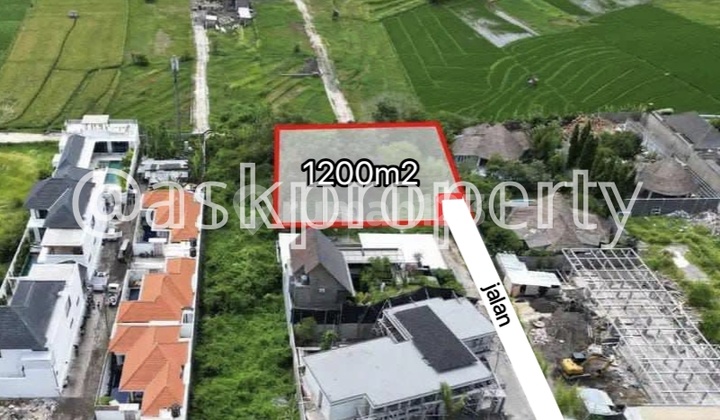 Dijual Tanah Freehold Kawasan Premium Villa Restaurant Tenang Nyaman Siap Bangun Bumbak Umalas Bali Dijual Tanah Freehold Kawasan Premium Villa Restaurant Tenang Nyaman Siap Bangun Bumbak Umalas Bali