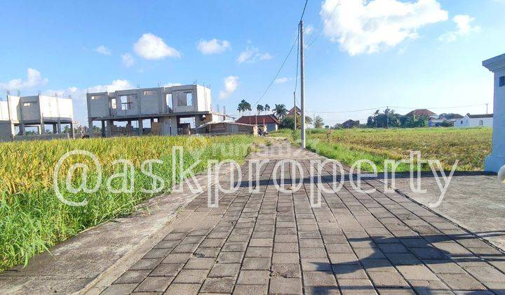 DIJUAL TANAH MURAH VIEW SAWAH DEKAT BRACH LOVE/PANTAI KEDUNGU TABANAN BALI 2