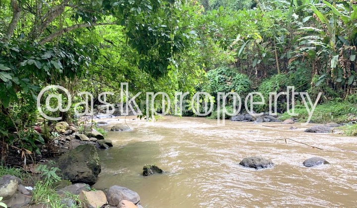 Dijual Tanah Pinggir Sungai Besar Kontur Tanah Ubud Vibe Buwit Tabanan Bali