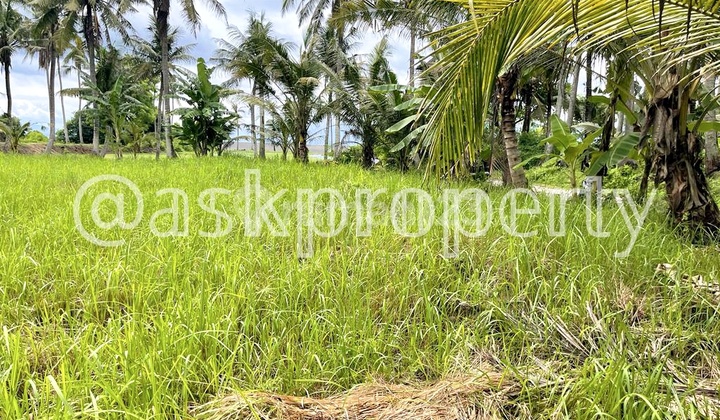 Land for Sale Suitable for Building a Beach Villa in Saba, Gianyar, Bali