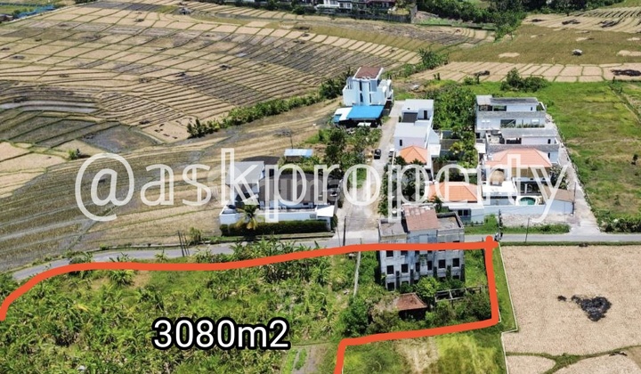 For Sale Land Surrounding Rice Fields Suitable for Building Beach Cluster in Cemagi, Bali