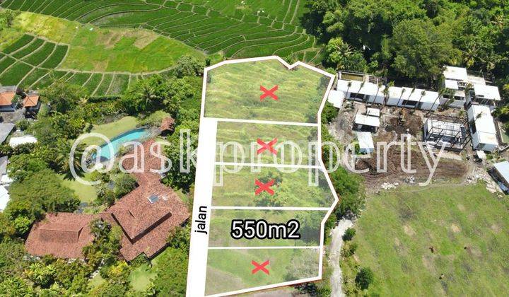 Dijual Tanah Cocok Untuk Villa Dekat Pantai Pererenan Bali 1