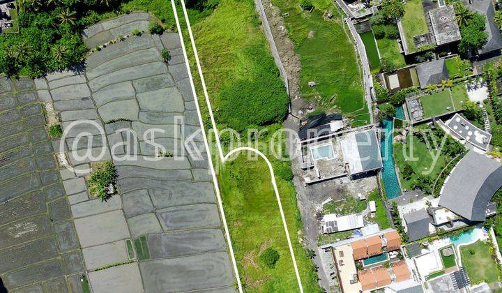 FREEHOLD LAND FOR SALE AROUND CEMAGI BEACH VILLA, BALI 2