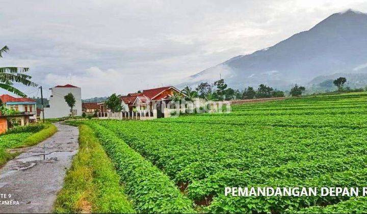 RUMAH / VILLA DGN TANAH LUAS VIEW LANGSUNG GUNUNG SALAK BOGOR 2