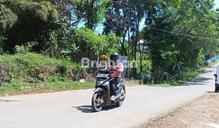 TANAH KEBUN LUAS DAN MURAH DIPINGGIR JALAN RAYA 2