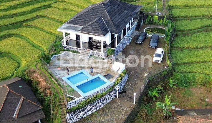 VILLA MEWAH & MURAH DI PUNCAK 2 BOGOR 1