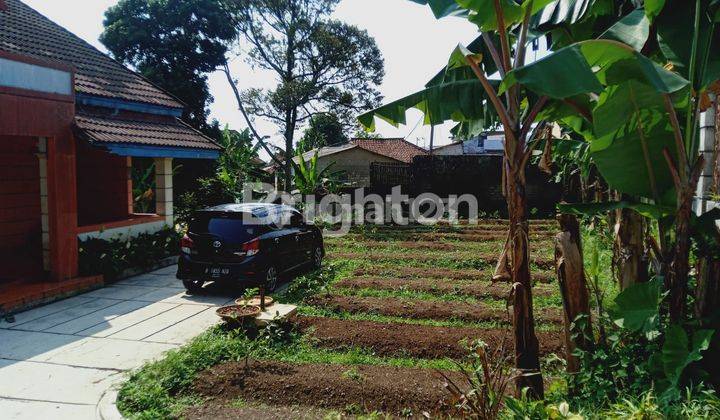 RUMAH / VILLA DGN TANAH LUAS VIEW LANGSUNG GUNUNG SALAK BOGOR 2