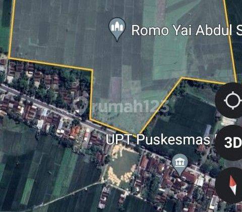 Kavling Industri Nol Jalan Daerah Ngawi Jawa Timur  1