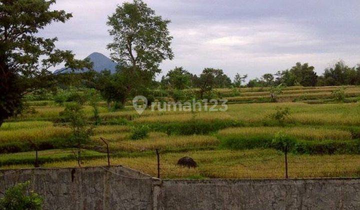 Dijual Restaurant + Kolam Pancing Daerah Wisata Taman Safari Jalan Utama Ke Taman Safari 2 Prigen 2