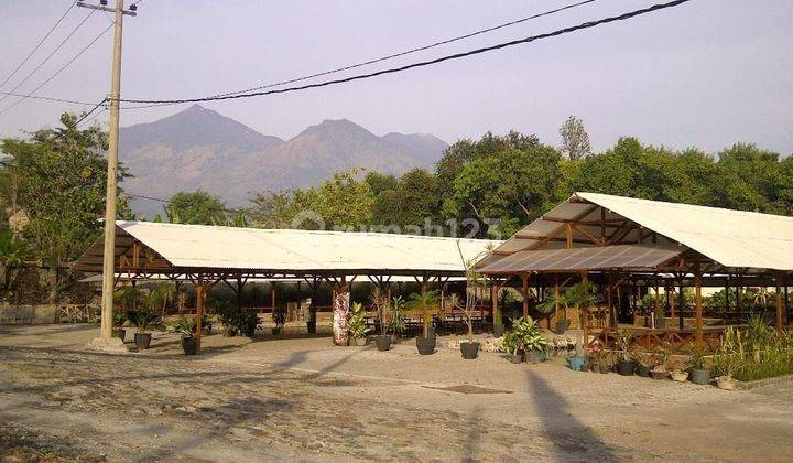 Dijual Restaurant + Kolam Pancing Daerah Wisata Taman Safari Jalan Utama Ke Taman Safari 2 Prigen 1