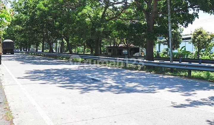 Beachfront Land next to Luwih House, Gianyar Bypass - Bali Beachfront Land next to Luwih House, Gianyar Bypass - Bali