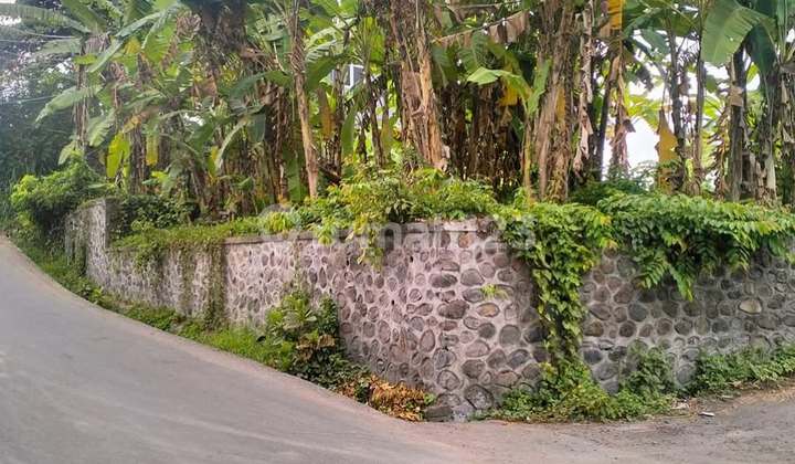 Lahan View Sawah Di Singapadu, Gianyar- Bali 2