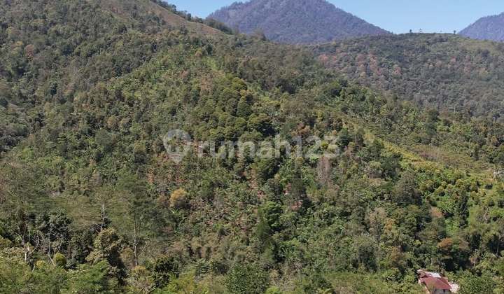 Lahan Dengan View Sangat Menawan Di Munduk, Buleleng - Bali Lahan Dengan View Sangat Menawan Di Munduk, Buleleng - Bali
