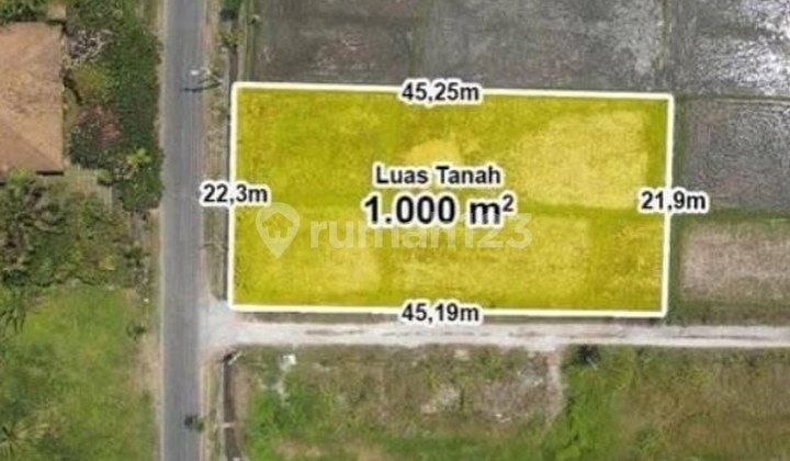 Hook Land Main Road at Mengening Beach, Cemagi - Bali